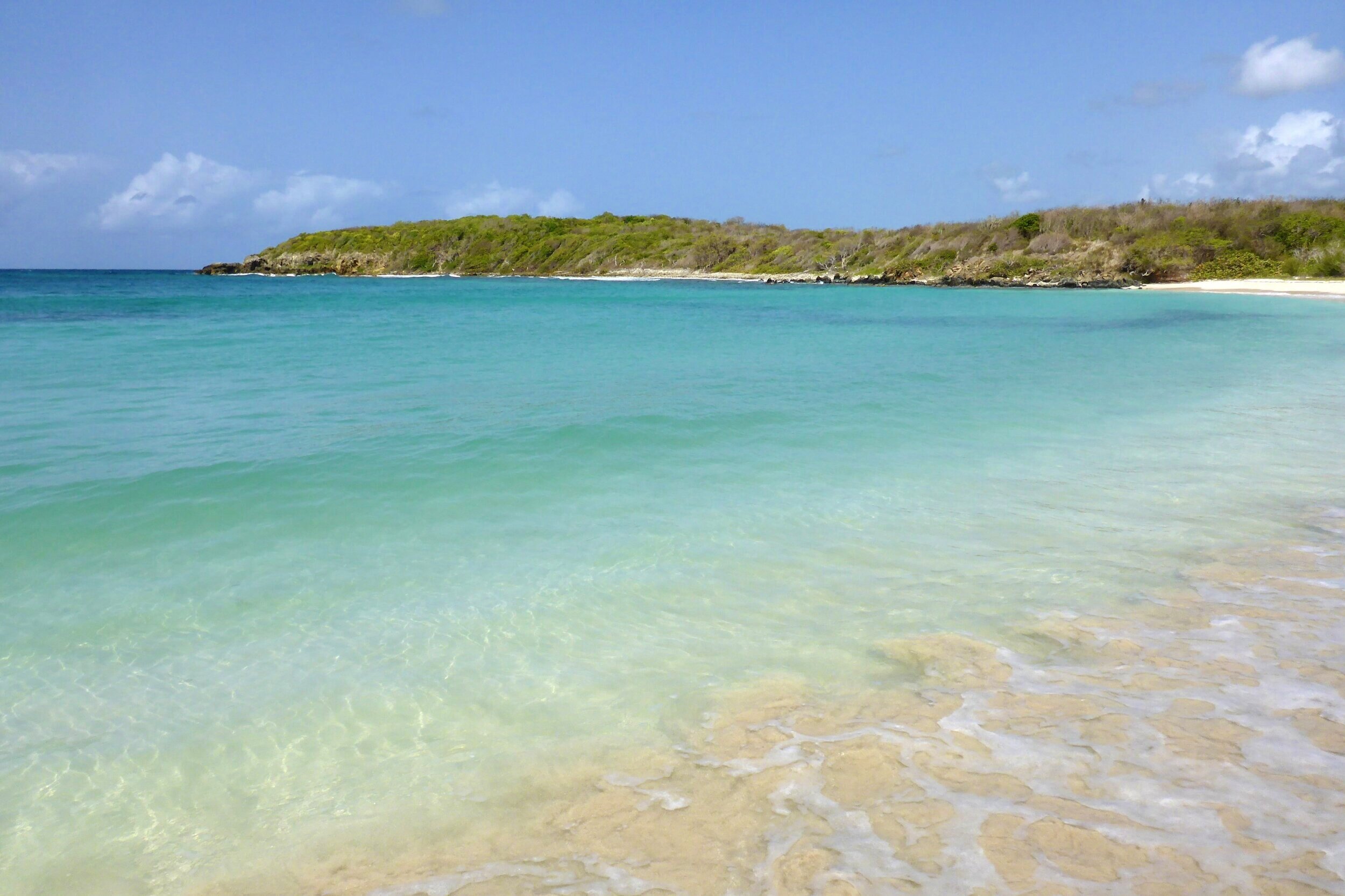 Playa la esperanza/esperanza beach · 4: . 15 Best Beaches To Hit In Vieques Island Puerto Rico Marco Feng